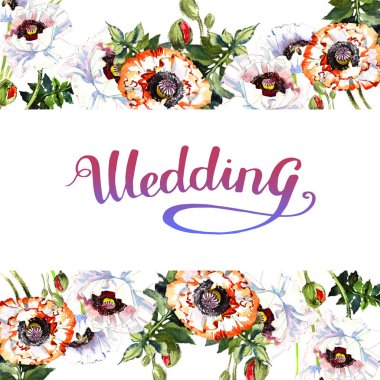 Kır çiçeği haşhaş çiçek çerçeve izole bir suluboya tarzında.