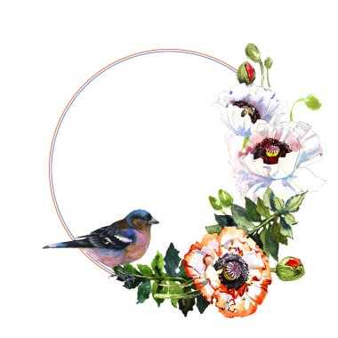 Kır çiçeği haşhaş çiçek çerçeve izole bir suluboya tarzında.