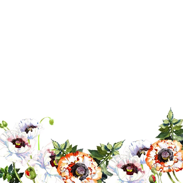 Marco de flores de amapola silvestre en un estilo de acuarela aislado . — Foto de Stock