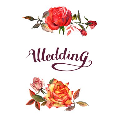 Kır çiçeği gül çiçek çerçeve izole bir suluboya tarzında.