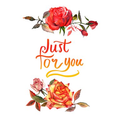 Kır çiçeği gül çiçek çerçeve izole bir suluboya tarzında.