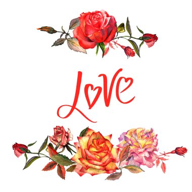 Kır çiçeği gül çiçek çerçeve izole bir suluboya tarzında.