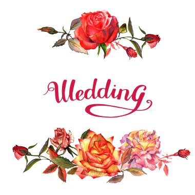 Kır çiçeği gül çiçek çerçeve izole bir suluboya tarzında.