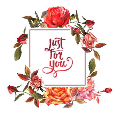 Kır çiçeği gül çiçek çerçeve izole bir suluboya tarzında.