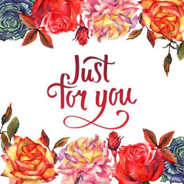 Kır çiçeği gül çiçek çerçeve izole bir suluboya tarzında.