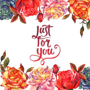 Kır çiçeği gül çiçek çerçeve izole bir suluboya tarzında.