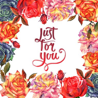 Kır çiçeği gül çiçek çerçeve izole bir suluboya tarzında.