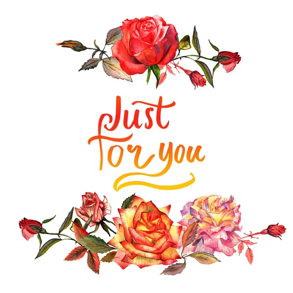 Kır çiçeği gül çiçek çerçeve izole bir suluboya tarzında.