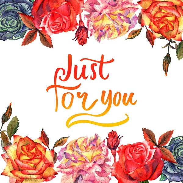 Kır çiçeği gül çiçek çerçeve izole bir suluboya tarzında.