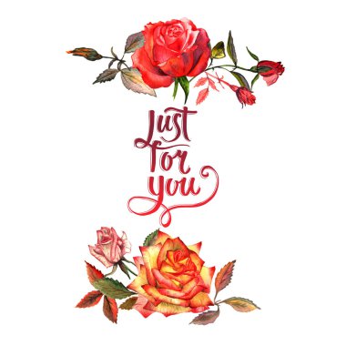 Kır çiçeği gül çiçek çerçeve izole bir suluboya tarzında.