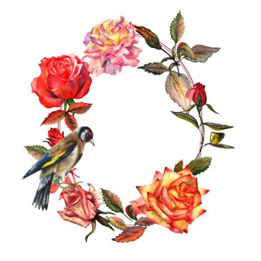 Kır çiçeği gül çiçek çelenk izole bir suluboya tarzında.