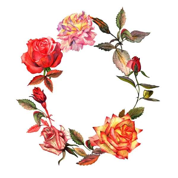 Wildflower rose flower wreath in a watercolor style isolated. — Stock Photo, Image