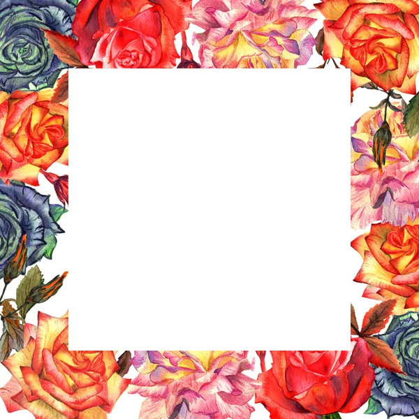 Wildflower ros blomma ram i akvarell stil isolerade. — Stockfoto