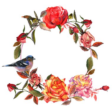 Kır çiçeği gül çiçek çelenk izole bir suluboya tarzında.