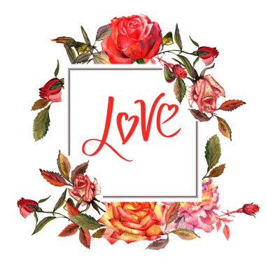 Kır çiçeği gül çiçek çerçeve izole bir suluboya tarzında.