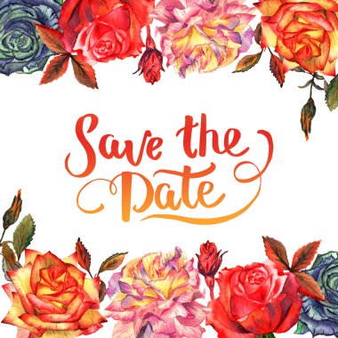 Kır çiçeği gül çiçek çerçeve izole bir suluboya tarzında.