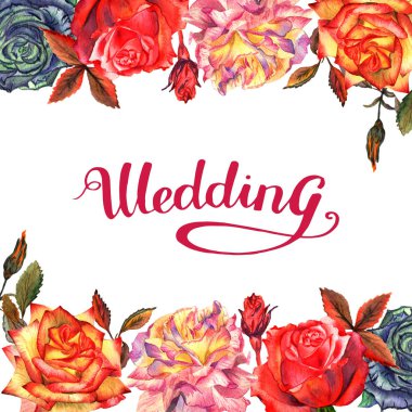 Kır çiçeği gül çiçek çerçeve izole bir suluboya tarzında.