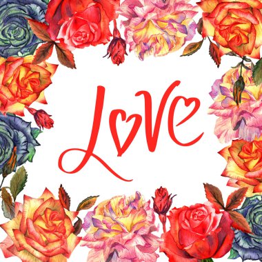 Kır çiçeği gül çiçek çerçeve izole bir suluboya tarzında.