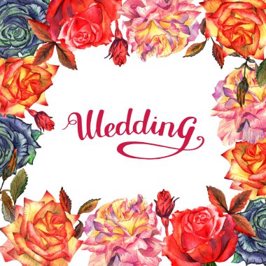 Kır çiçeği gül çiçek çerçeve izole bir suluboya tarzında.