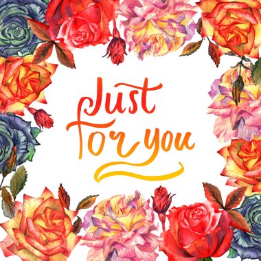 Kır çiçeği gül çiçek çerçeve izole bir suluboya tarzında.