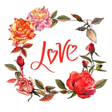 Kır çiçeği gül çiçek çerçeve izole bir suluboya tarzında.