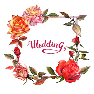 Kır çiçeği gül çiçek çerçeve izole bir suluboya tarzında.