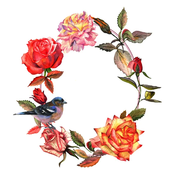 Věnec růže květ wildflower ve stylu akvarelu, samostatný. — Stock fotografie