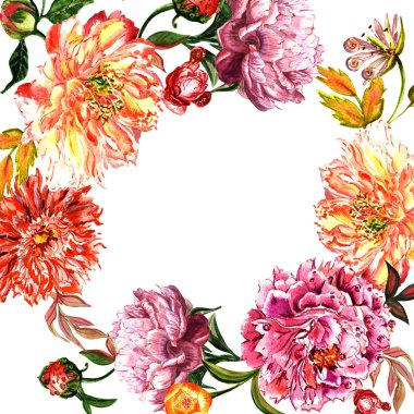 Kır çiçeği Şakayık çiçeği çerçeve izole bir suluboya tarzında.