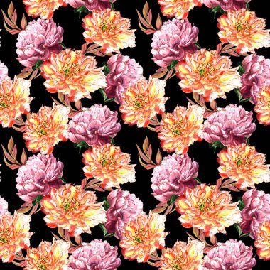 Kır çiçeği peony çiçek deseni izole bir suluboya tarzında.