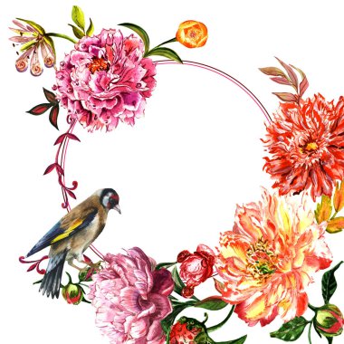 Kır çiçeği Şakayık çiçeği çerçeve izole bir suluboya tarzında.