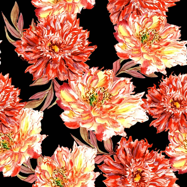 Modello di fiore di peonia Wildflower in uno stile di acquerello isolato . — Foto Stock