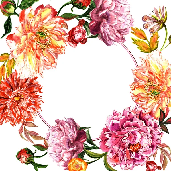Fiore selvatico fiore di peonia cornice in stile acquerello isolato . — Foto Stock