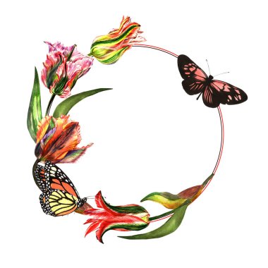 Kır çiçeği Lale çiçek çerçeve izole bir suluboya tarzında.