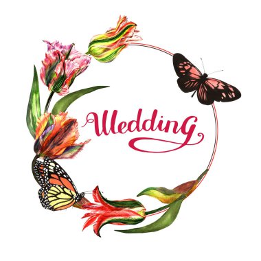 Kır çiçeği Lale çiçek çerçeve izole bir suluboya tarzında.