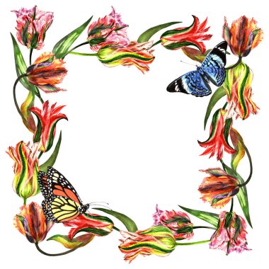 Kır çiçeği Lale çiçek çerçeve izole bir suluboya tarzında.