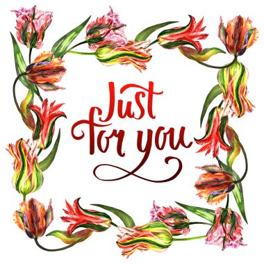 Kır çiçeği Lale çiçek çerçeve izole bir suluboya tarzında.