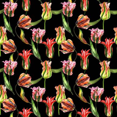 Kır çiçeği Lale çiçek deseni izole bir suluboya tarzında.