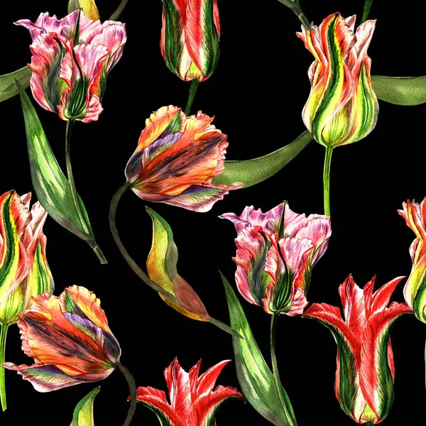 Дикий квітковий тюльпан у стилі акварелі ізольований . — стокове фото