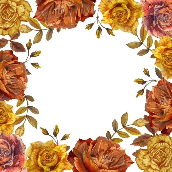 Wildflower rose flower frame in a watercolor style isolated.