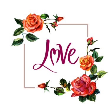 Kır çiçeği gül çiçek çerçeve izole bir suluboya tarzında.