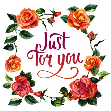 Kır çiçeği gül çiçek çelenk izole bir suluboya tarzında.