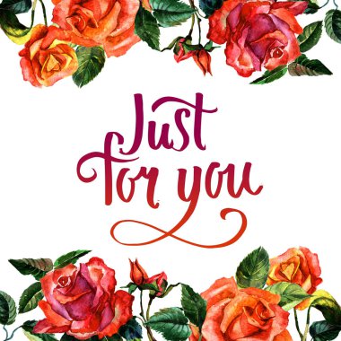 Kır çiçeği gül çiçek çerçeve izole bir suluboya tarzında.