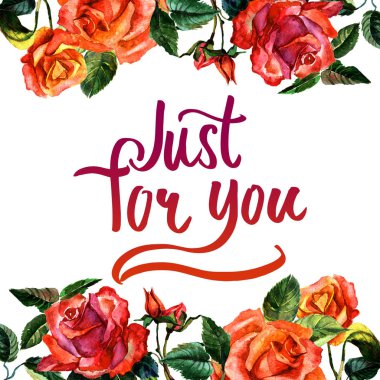 Kır çiçeği gül çiçek çerçeve izole bir suluboya tarzında.