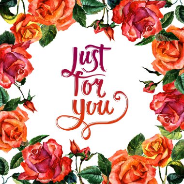 Kır çiçeği gül çiçek çerçeve izole bir suluboya tarzında.