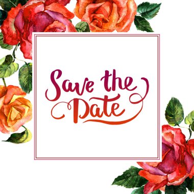 Kır çiçeği gül çiçek çerçeve izole bir suluboya tarzında.