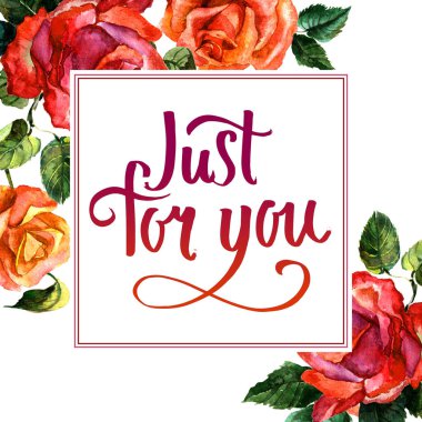 Kır çiçeği gül çiçek çerçeve izole bir suluboya tarzında.