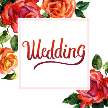 Kır çiçeği gül çiçek çerçeve izole bir suluboya tarzında.