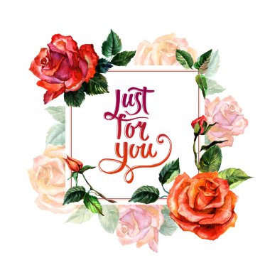 Kır çiçeği gül çiçek çerçeve izole bir suluboya tarzında.