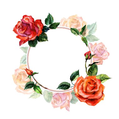 Kır çiçeği gül çiçek çerçeve izole bir suluboya tarzında.