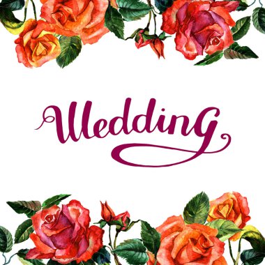 Kır çiçeği gül çiçek çerçeve izole bir suluboya tarzında.